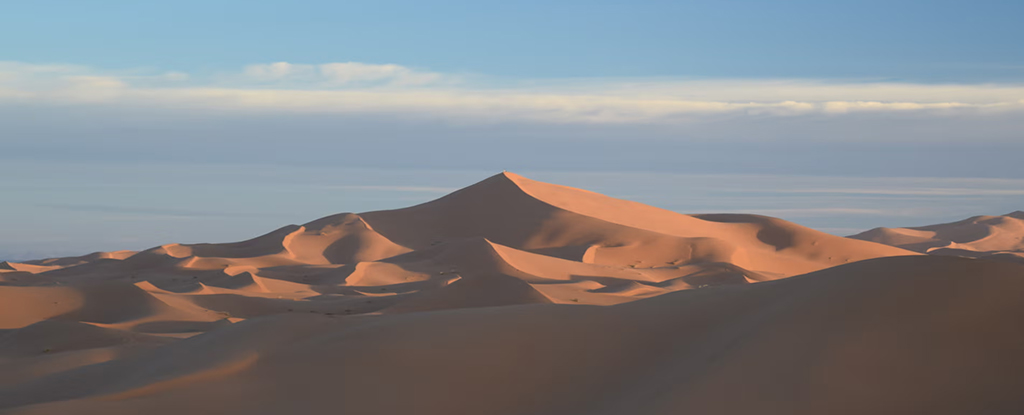 BigDune Sand
